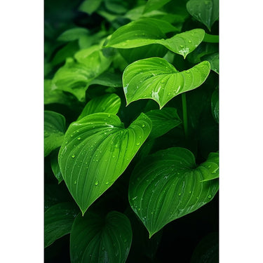 Feuilles Vertes Tableau